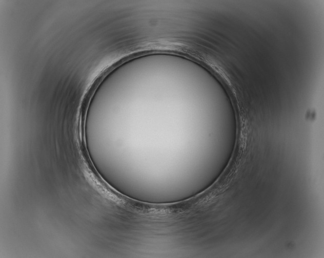 X0000115431080200911181455