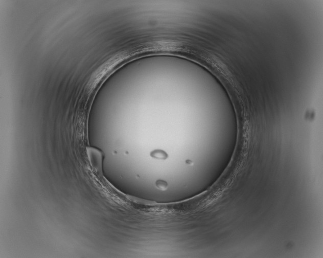 X0000115431081200911181455