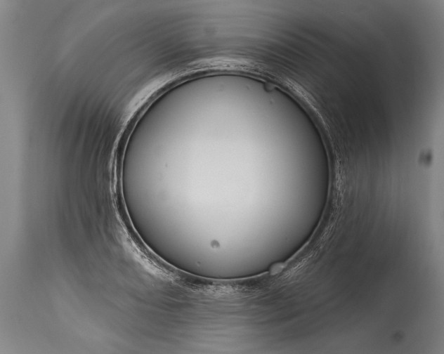 X0000115431082200911181455