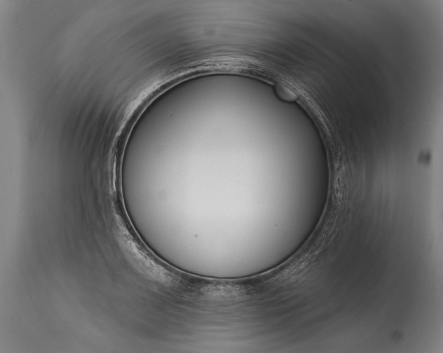 X0000115431083200911181455