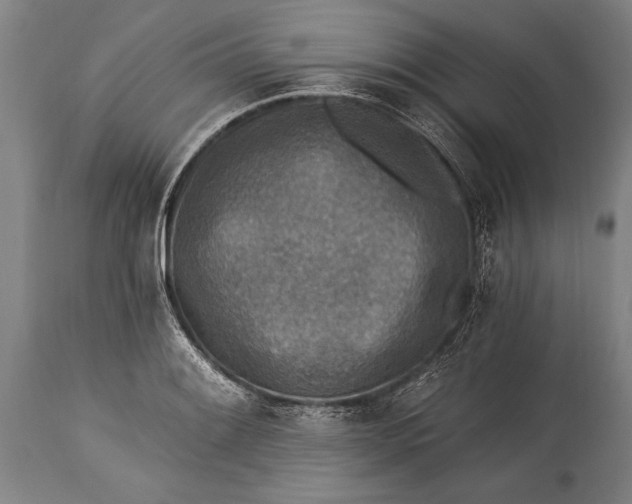 X0000115431084200911181455