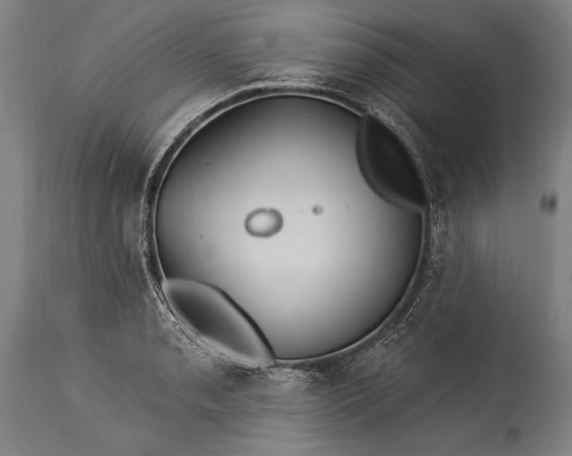 X0000115431085200911181455