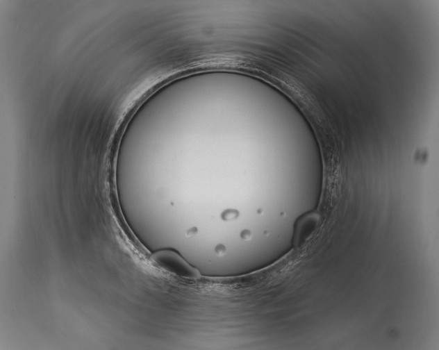 X0000115431086200911181455