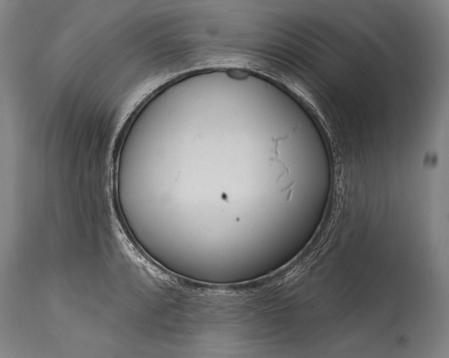 X0000115431088200911181455