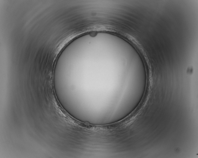 X0000115431089200911181455