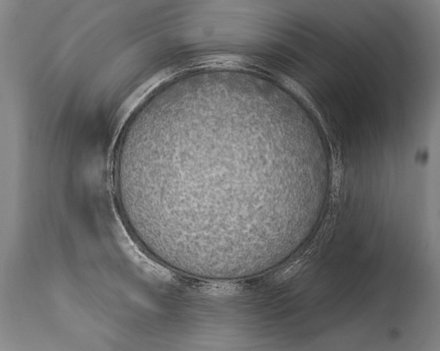 X0000115431090200911181455