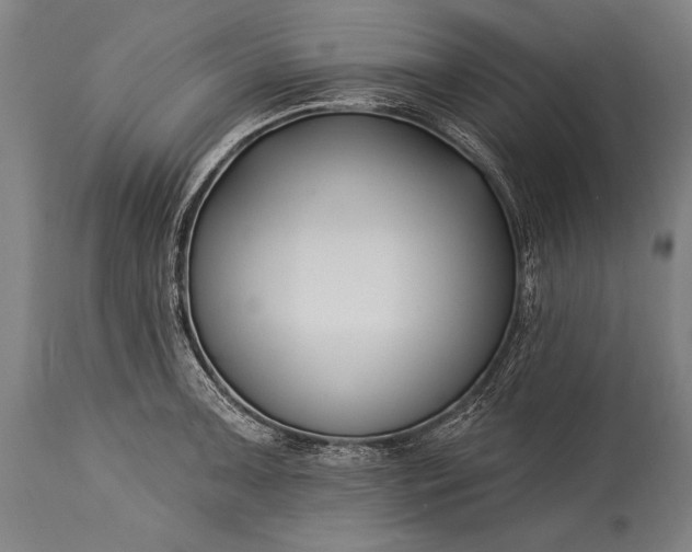 X0000115431091200911181455