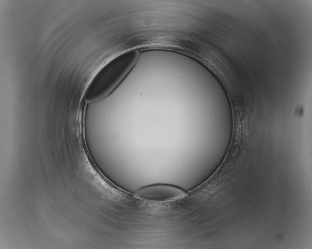 X0000115431092200911181455