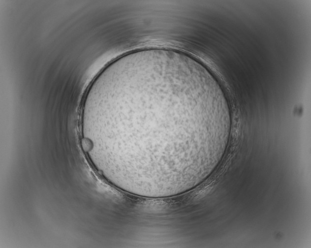 X0000115431094200911181455