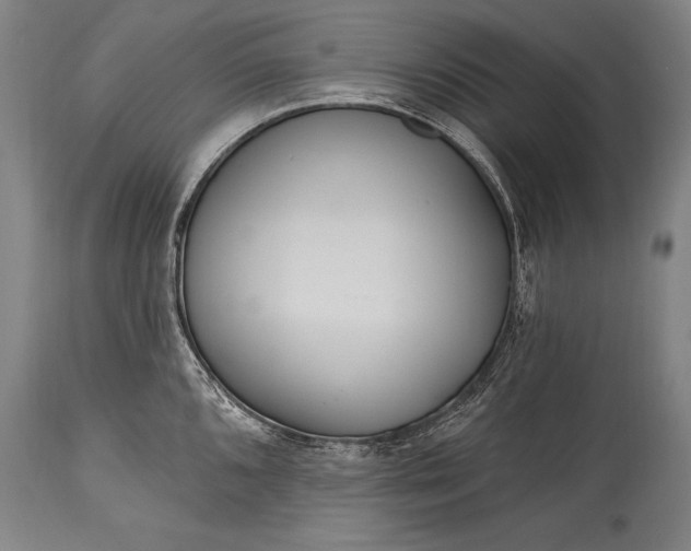 X0000115431096200911181454