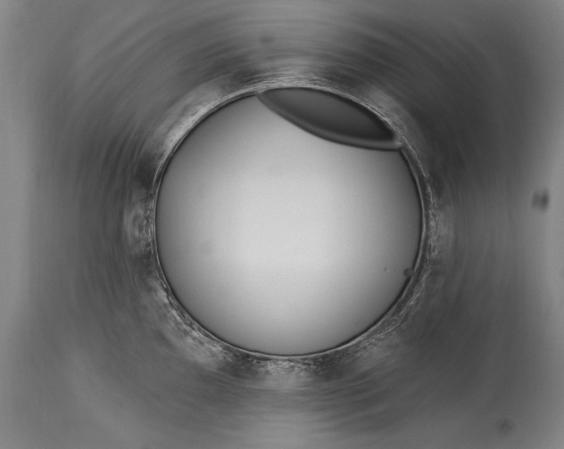 X0000115431097200911181454