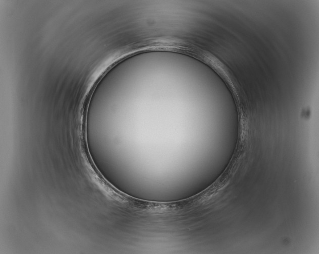 X0000115431099200911181454