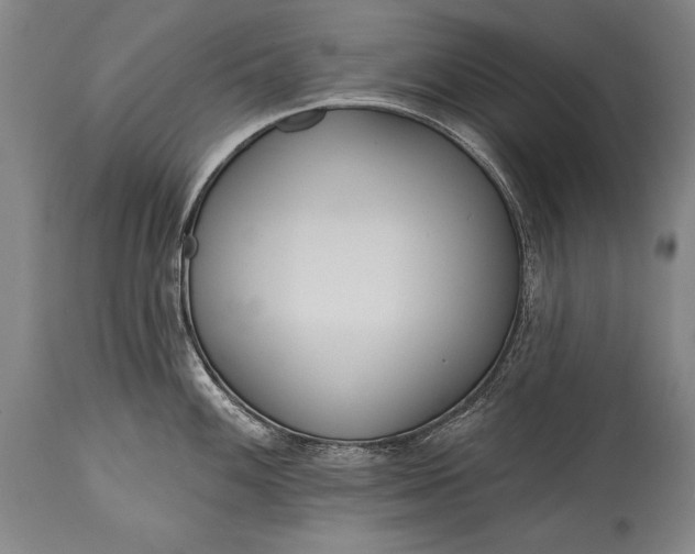 X0000115431100200911181454