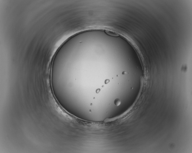 X0000115431102200911181454