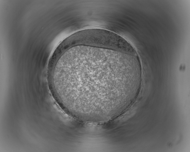 X0000115431104200911181454