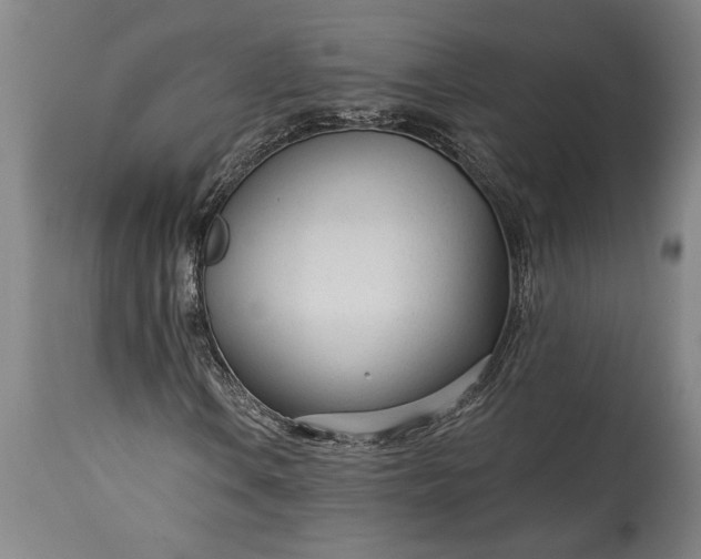 X0000115431106200911181454