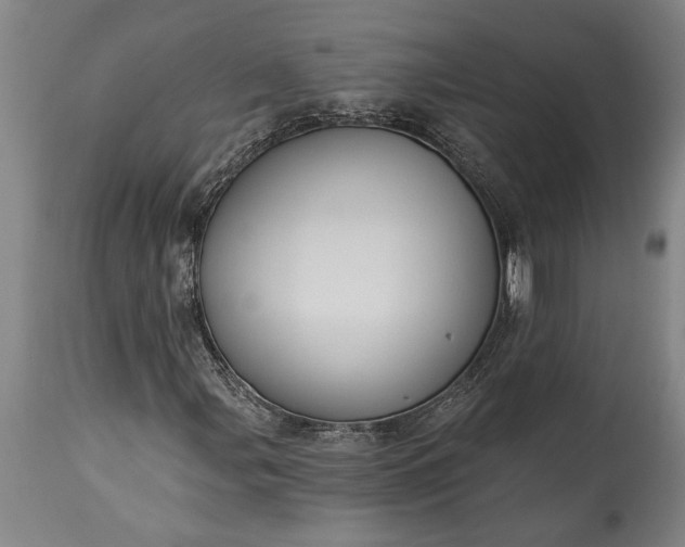 X0000115431107200911181454