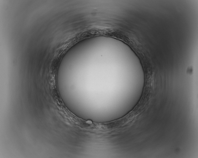 X0000115431109200911181454