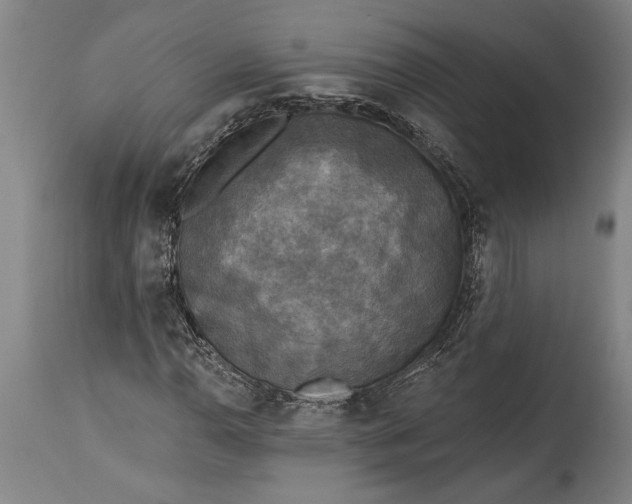 X0000115431110200911181454