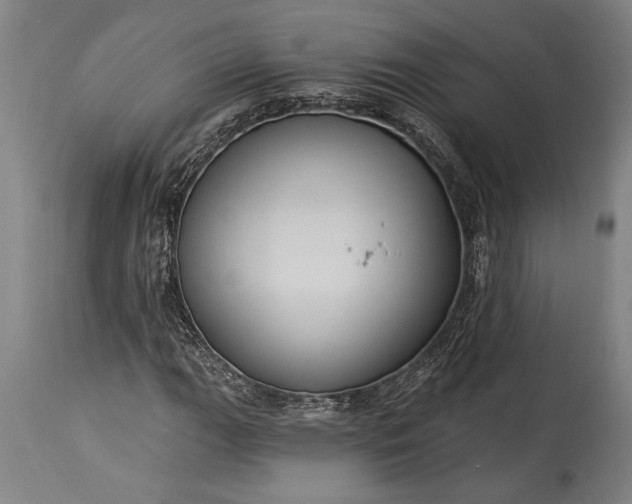 X0000115431111200911181454