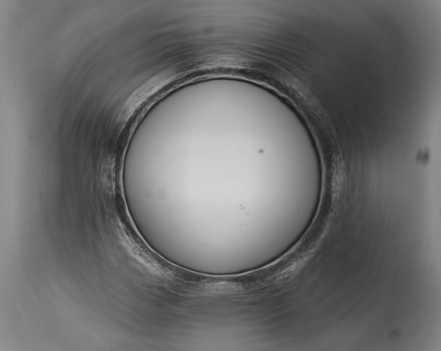 X0000115431113200911181454