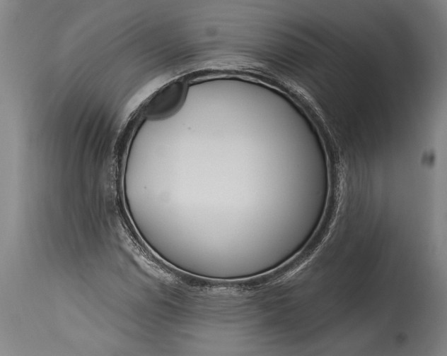 X0000115431114200911181454