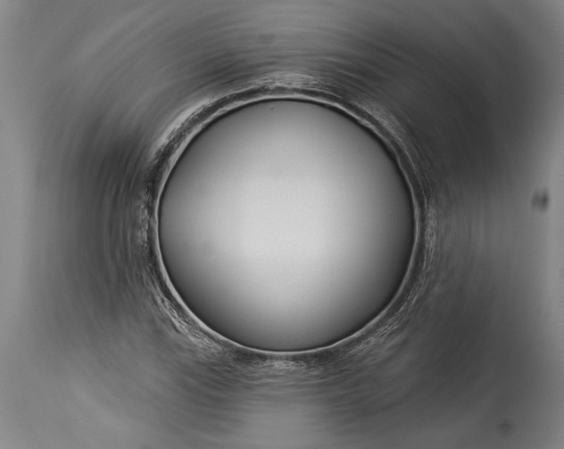 X0000115431115200911181454