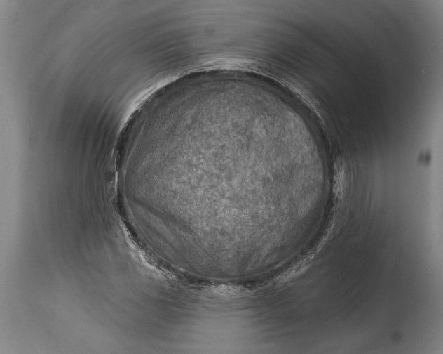 X0000115431117200911181454