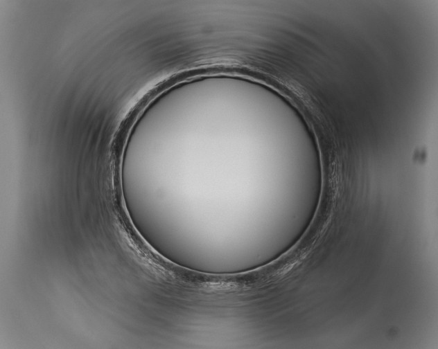 X0000115431118200911181454