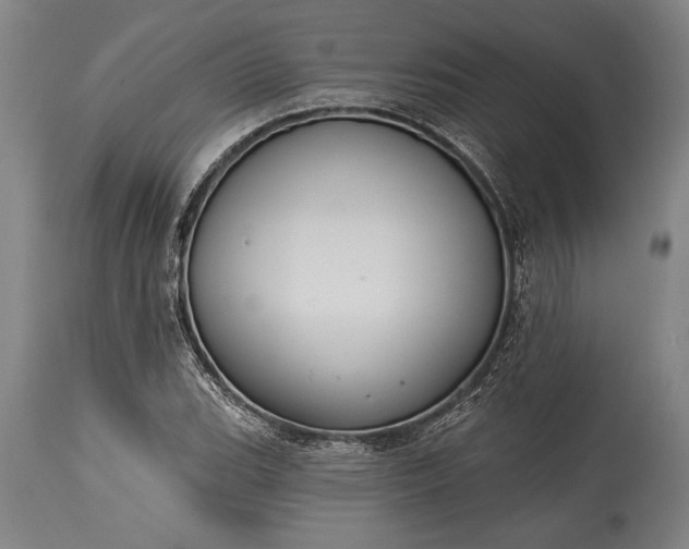 X0000115431119200911181454