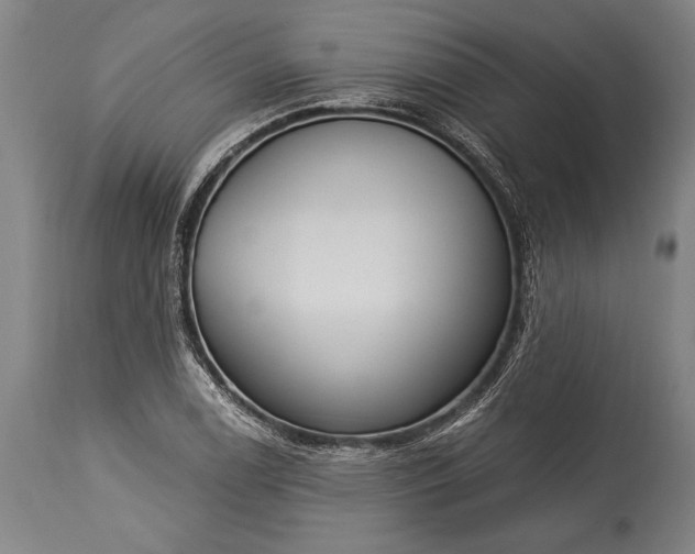 X0000115431122200911181454