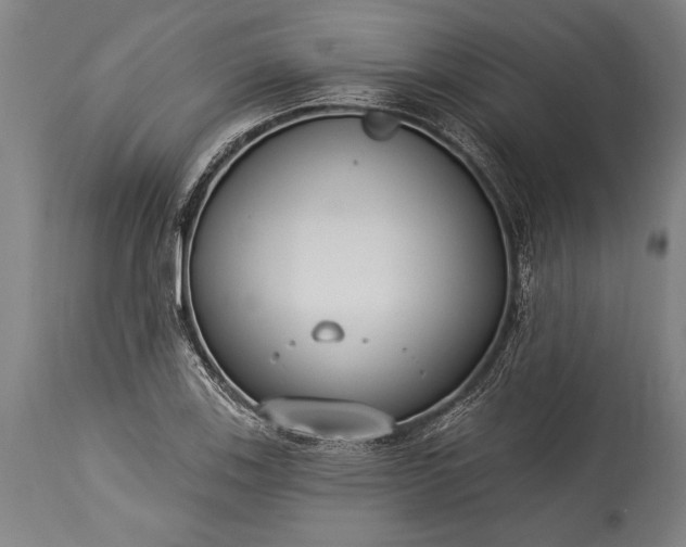 X0000115431123200911181454