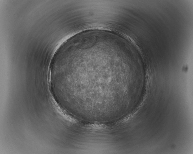 X0000115431125200911181454