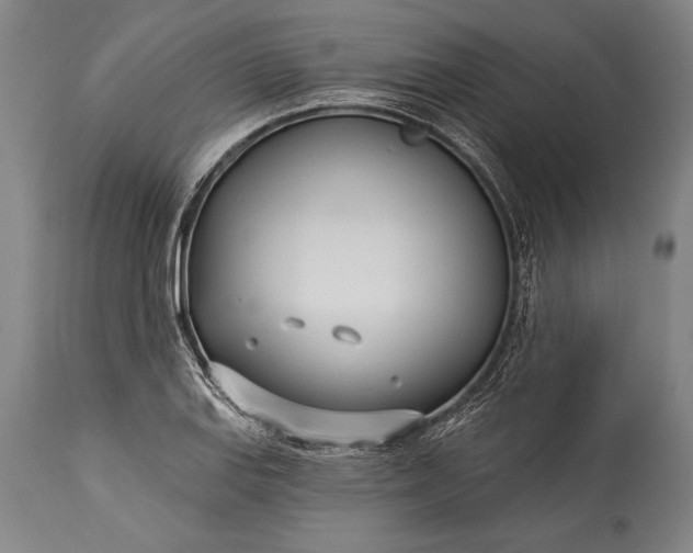 X0000115431127200911181454