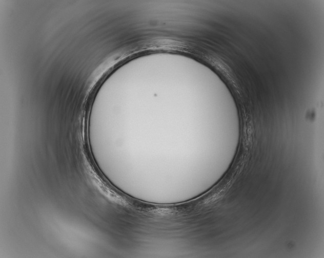 X0000115431130200911181454