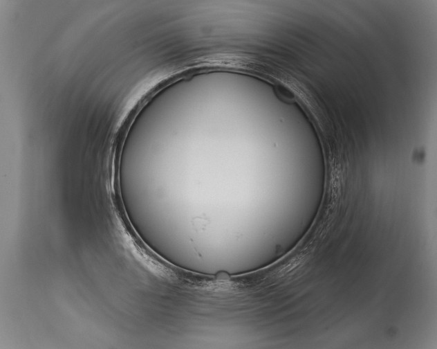 X0000115431131200911181454