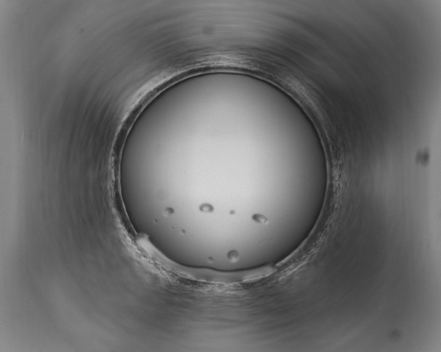 X0000115431133200911181454