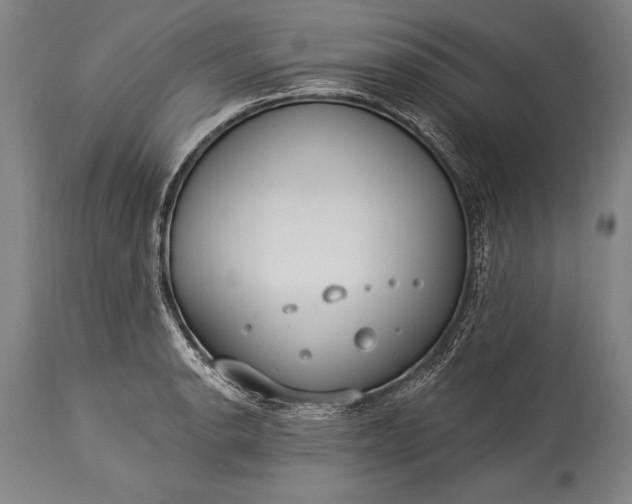 X0000115431134200911181454