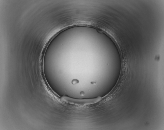 X0000115431135200911181454