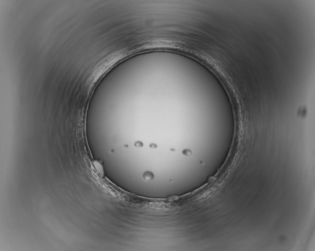 X0000115431137200911181454