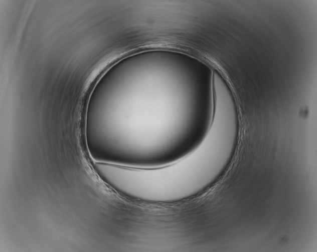 X0000115431138200911181454