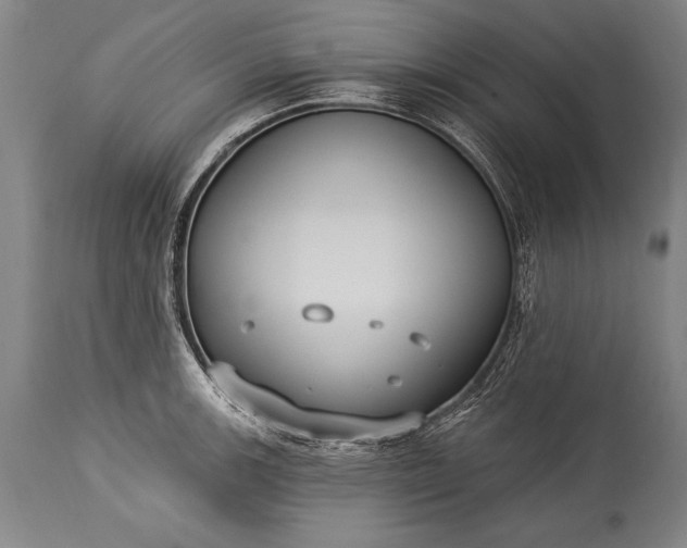 X0000115431139200911181454