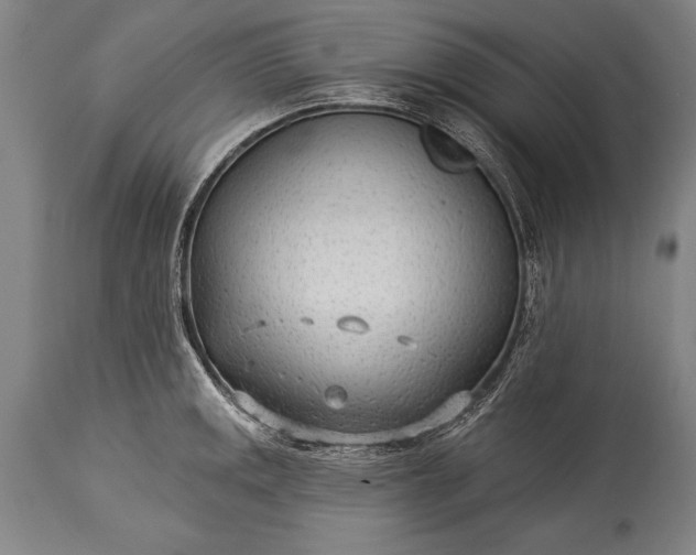 X0000115431141200911181454