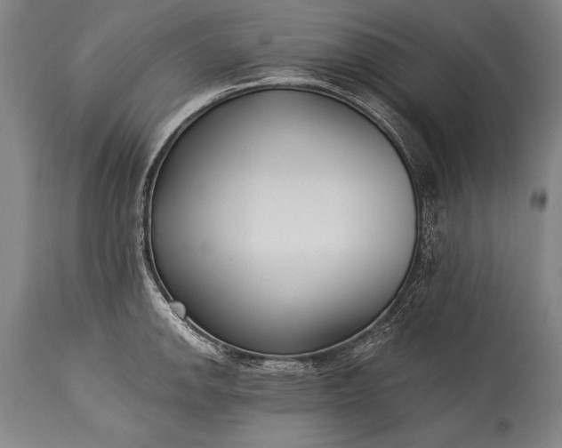 X0000115431142200911181454