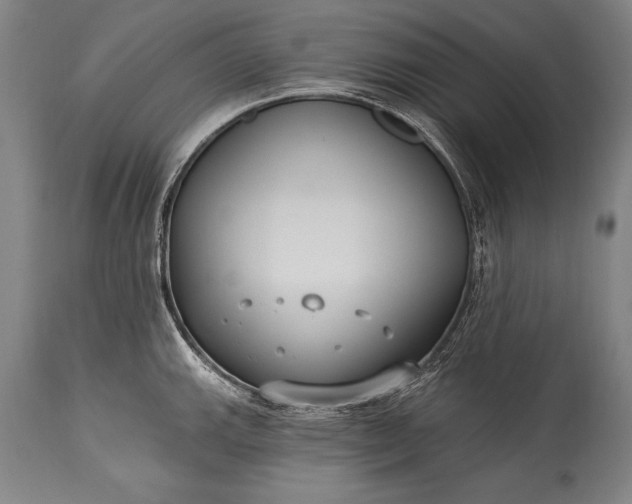 X0000115431143200911181454