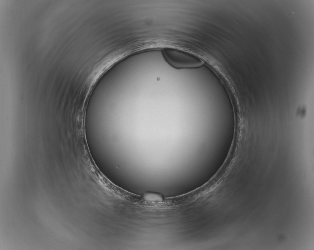 X0000115431145200911181454