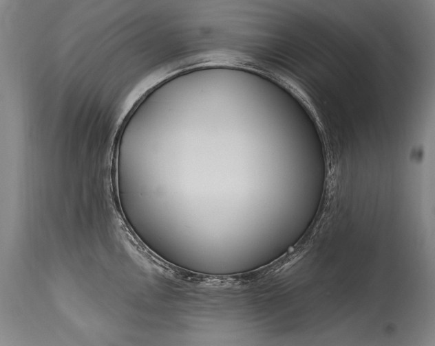 X0000115431146200911181454