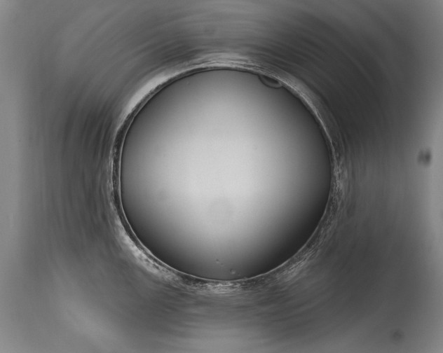 X0000115431147200911181454