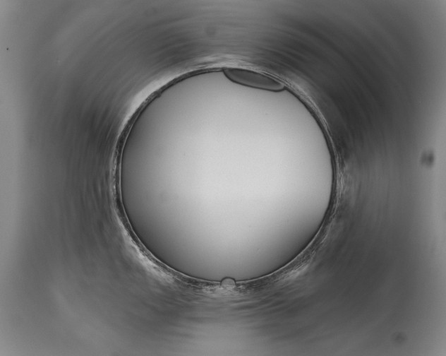 X0000115431149200911181454