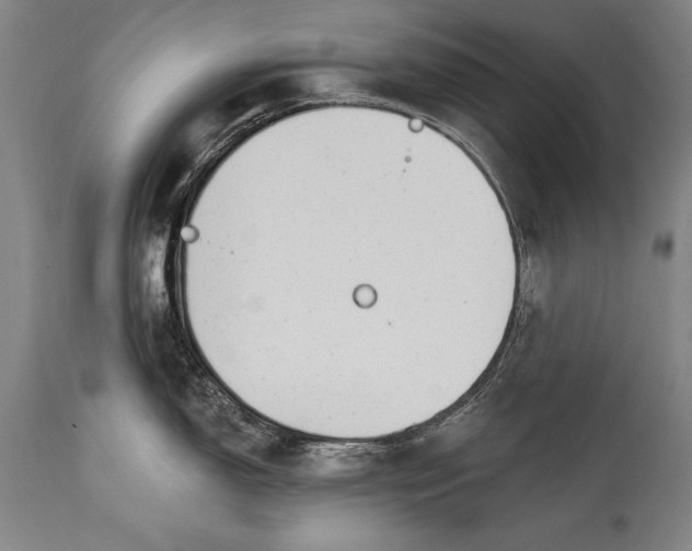 X0000115431150200911181454